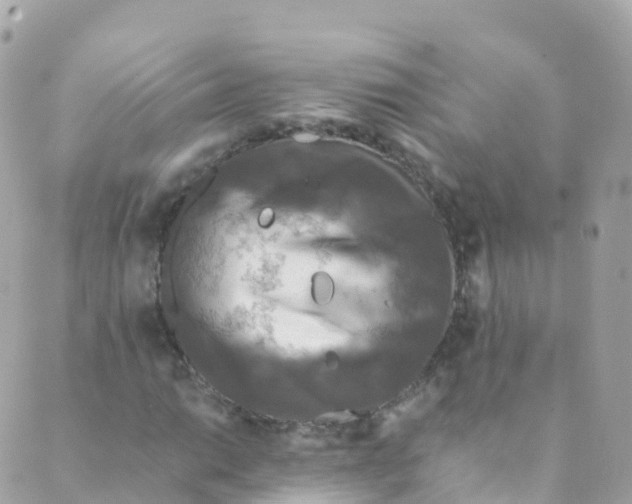 X0000089441014200707061403