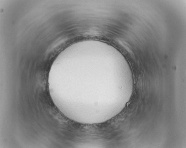 X0000089441015200707061403