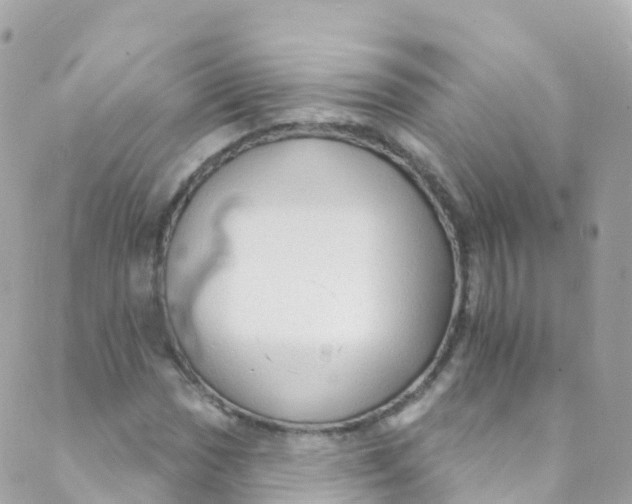 X0000089441017200707061403