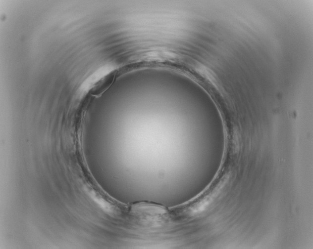 X0000089441018200707061403