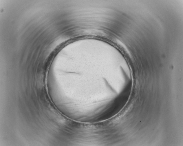 X0000089441019200707061403