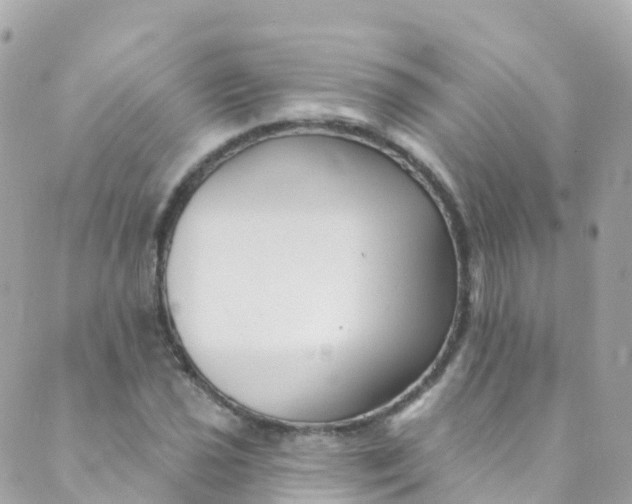 X0000089441021200707061403