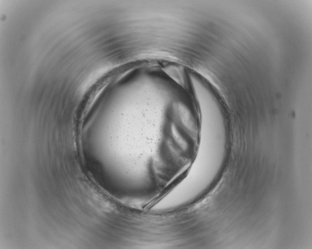 X0000089441022200707061403