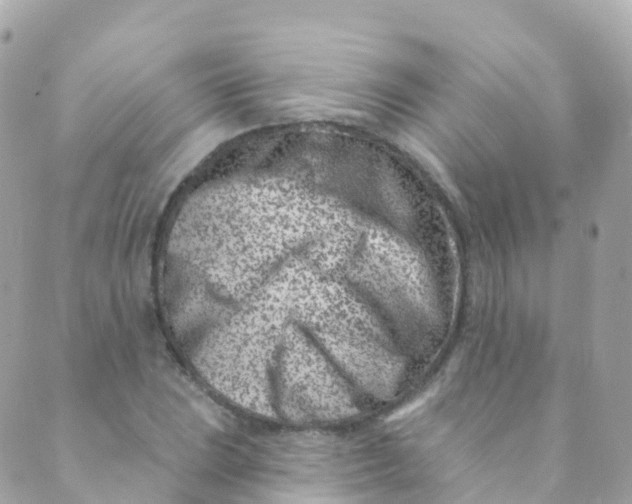 X0000089441023200707061403