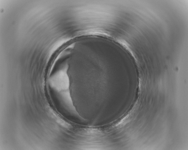 X0000089441024200707061403