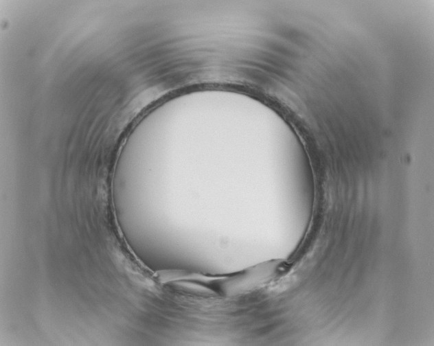 X0000089441025200707061403