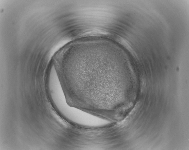 X0000089441026200707061403