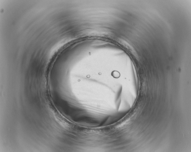 X0000089441027200707061403