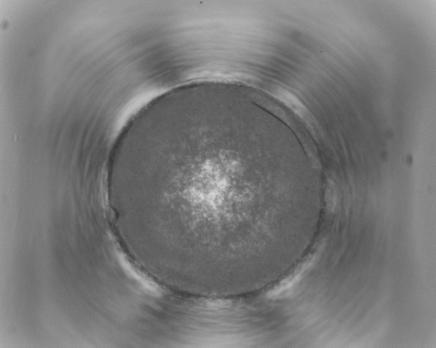 X0000089441030200707061403