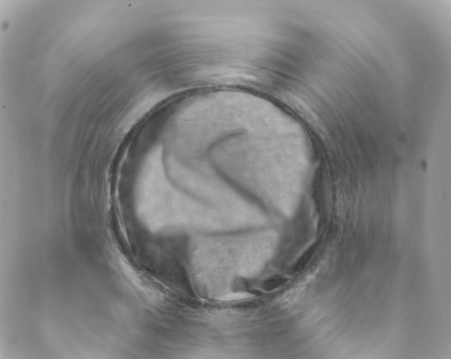 X0000089441031200707061403