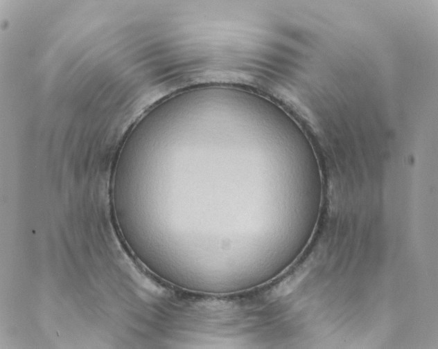 X0000089441033200707061403