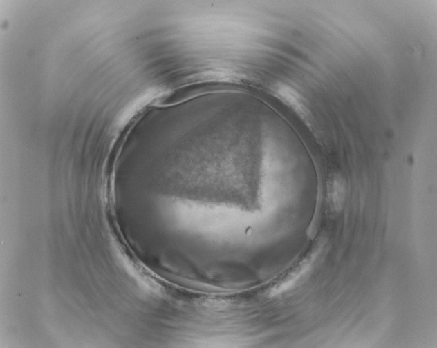 X0000089441034200707061403