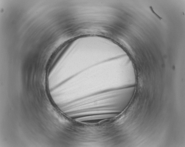 X0000089441035200707061403