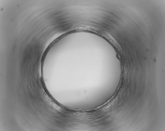 X0000089441036200707061403