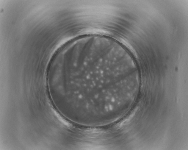 X0000089441037200707061403