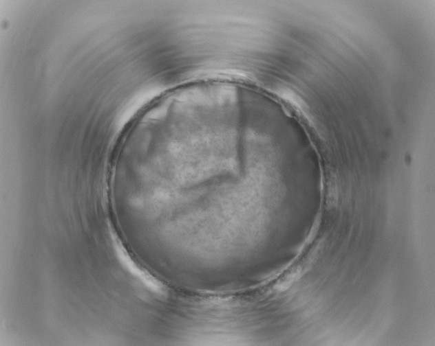 X0000089441038200707061403