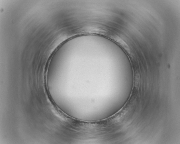 X0000089441039200707061403