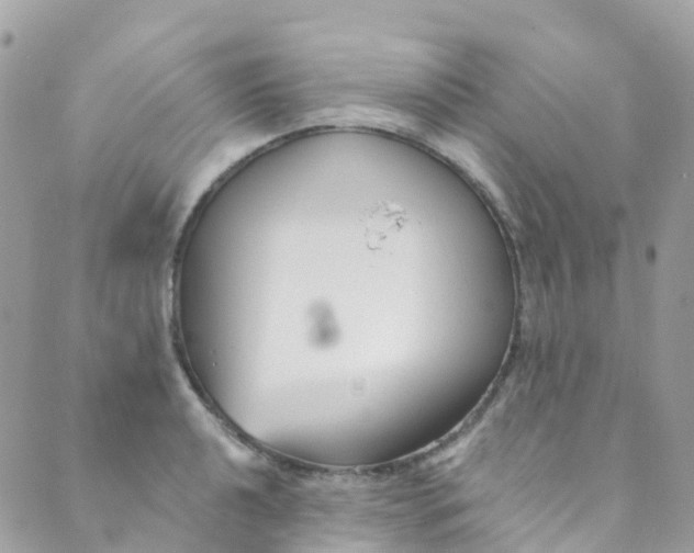 X0000089441040200707061403