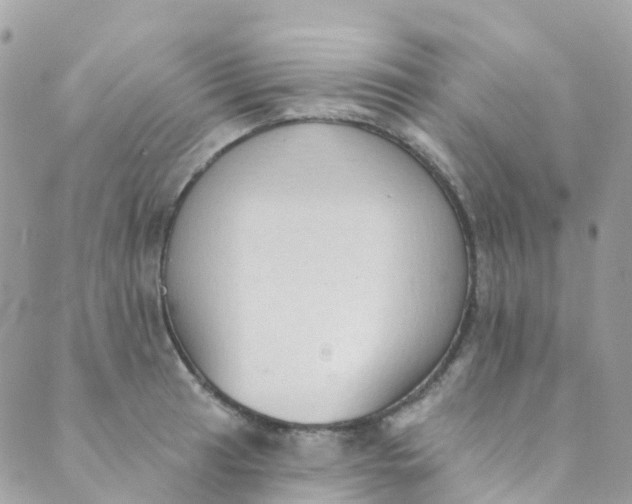 X0000089441041200707061403