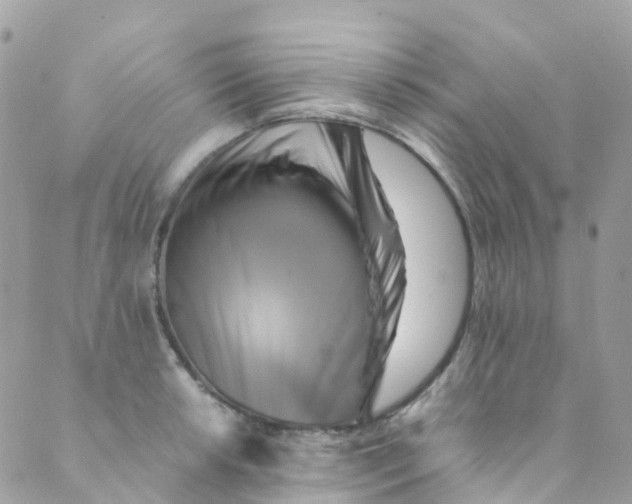 X0000089441042200707061403