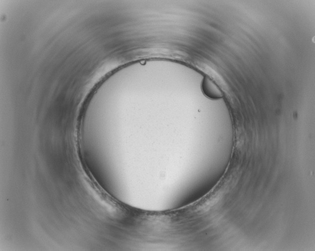 X0000089441043200707061403