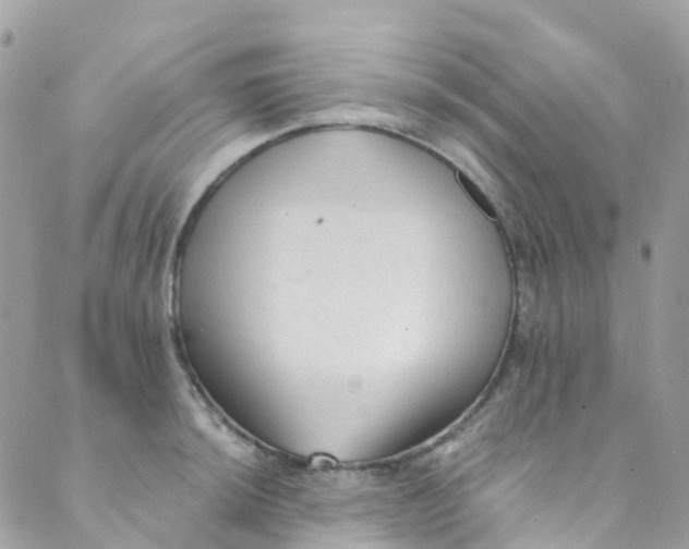 X0000089441044200707061403