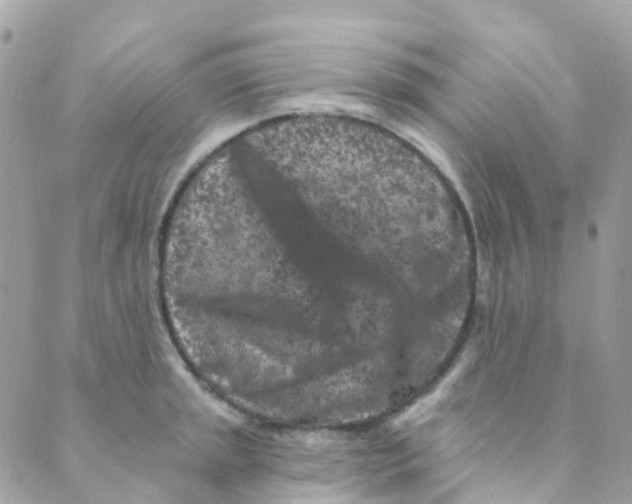 X0000089441045200707061403