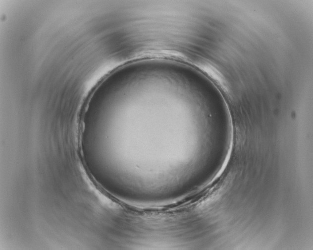 X0000089441046200707061403