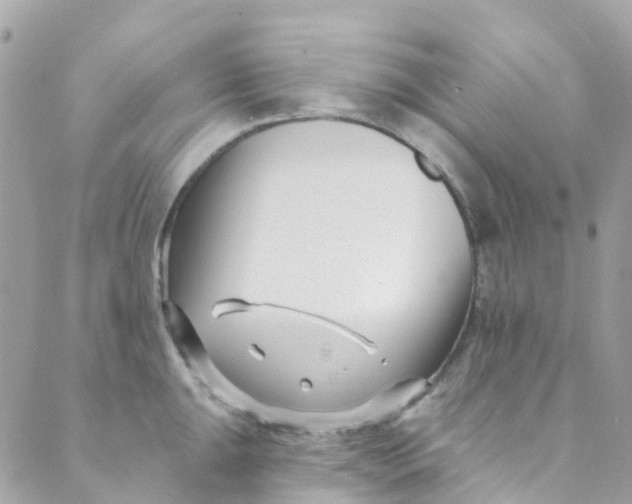 X0000089441047200707061403