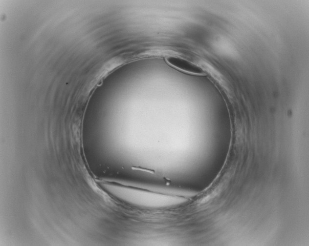 X0000089441049200707061403