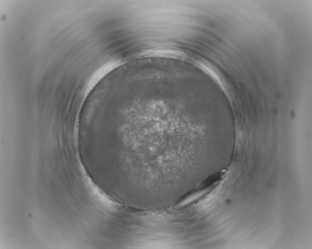 X0000089441050200707061403