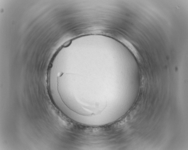 X0000089441051200707061403