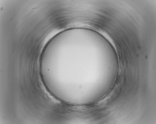 X0000089441053200707061404