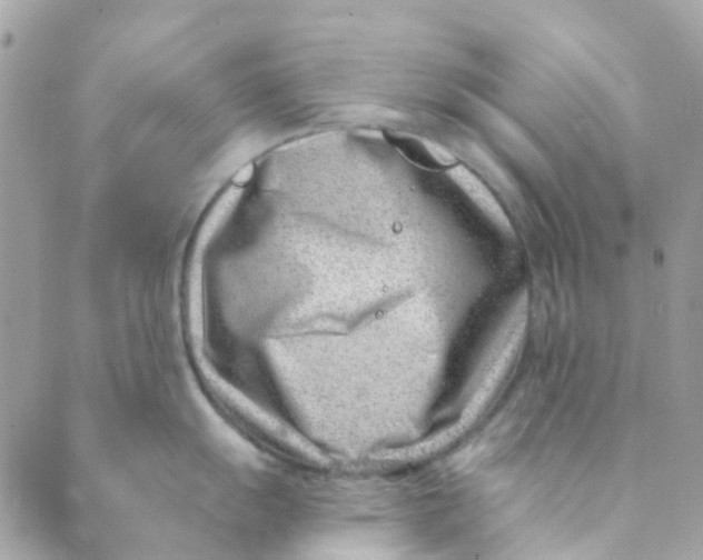 X0000089441055200707061404