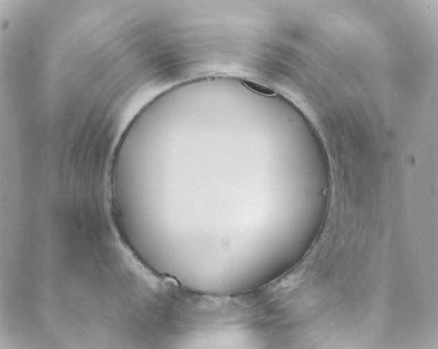 X0000089441056200707061404