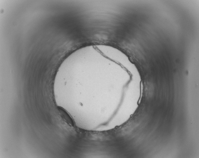 X0000089441057200707061403