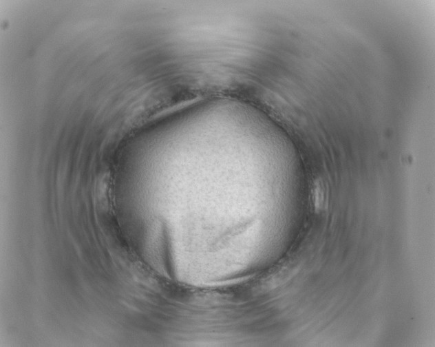 X0000089441059200707061403