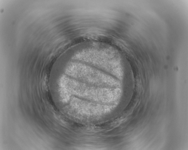 X0000089441060200707061403