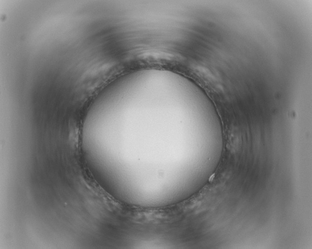 X0000089441061200707061403