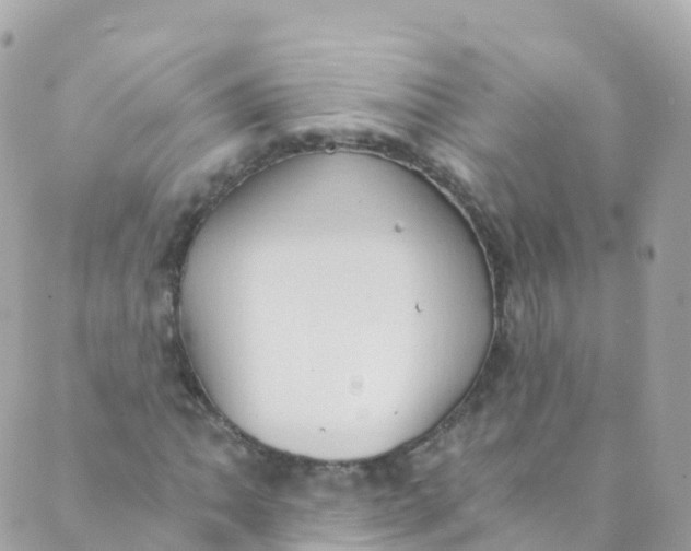 X0000089441062200707061403