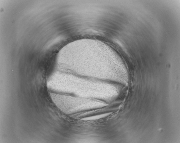 X0000089441063200707061403