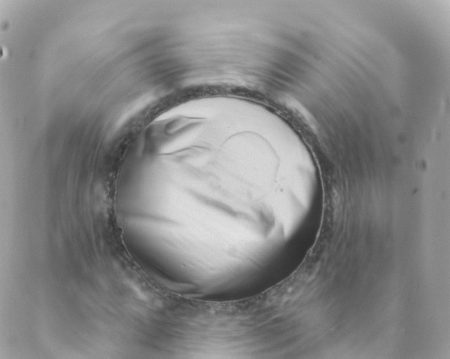 X0000089441064200707061403