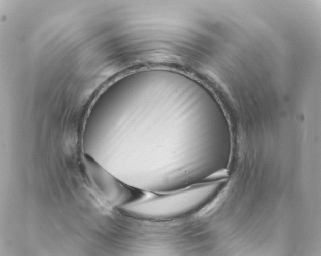 X0000089441065200707061403