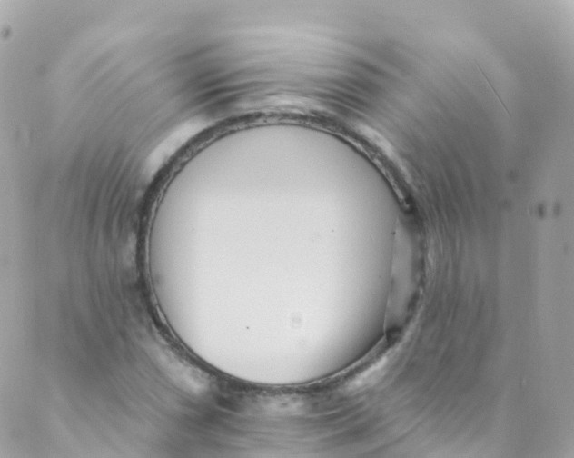 X0000089441066200707061403