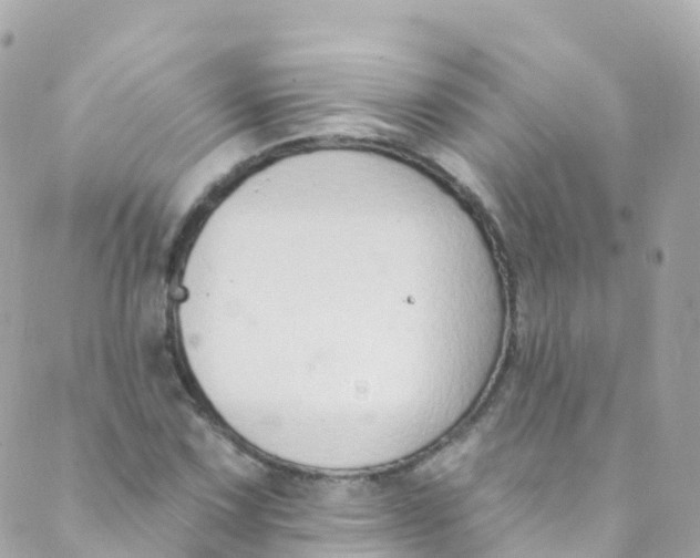 X0000089441067200707061403