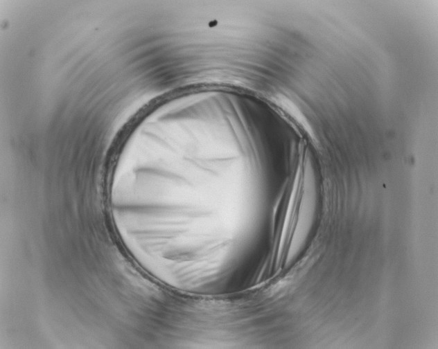 X0000089441068200707061403