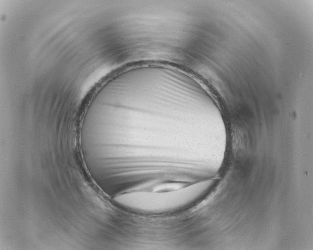 X0000089441069200707061403