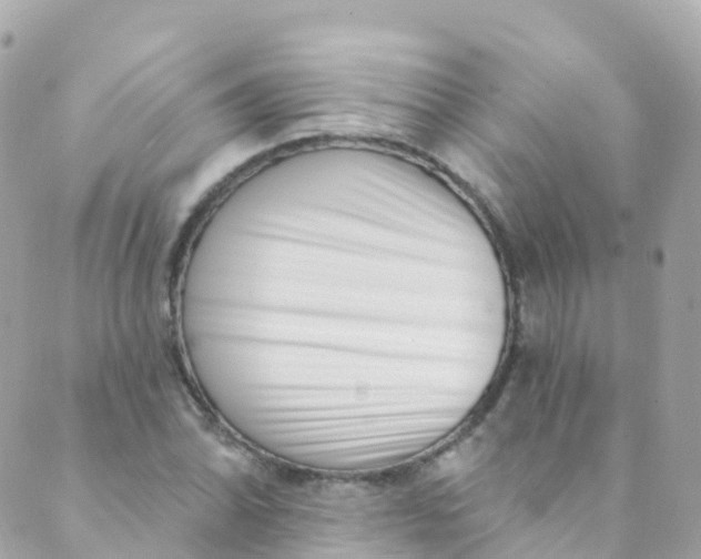 X0000089441070200707061403