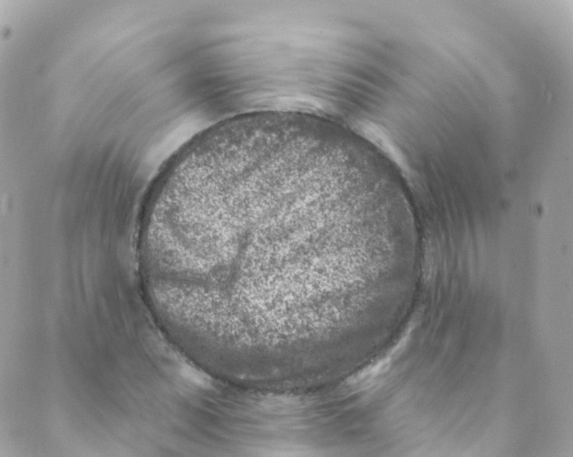 X0000089441071200707061403