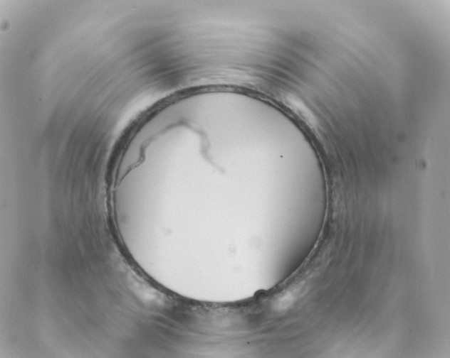 X0000089441072200707061403